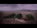 Wuachuma  -   from  "Genuity"