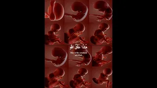 هذا خلق الله فأروني ماذا خلق الذين من دونه   اجمل تلاوات  ياسر الدوسري ١٤٢٥ لقمان  القران        دندنها