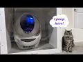 DIY Litter Box Enclosure Through the Wall to the Garage