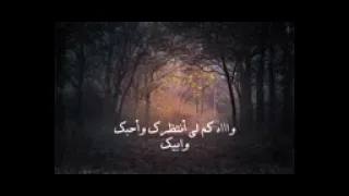 يوه ياحبيبي وين الايام ذيك      زين الايام ذيك   ليلي وياليل الي طغى شوقه عليه      بدر العزي دندنها