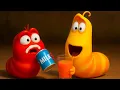Download Lagu Condensed Milk and Carrot Juice 🥛🥕 - LARVA Season 1-| Best Cartoons | Hilarious Cartoon Compilation.