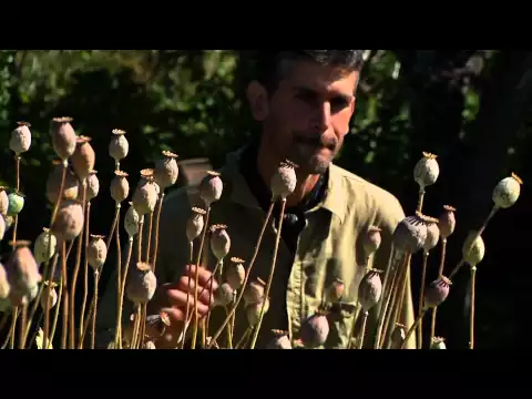 Le Semeur de Julie Perron