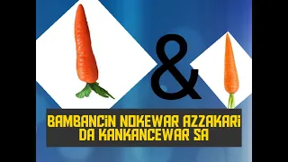 yadda ake gane bambancin nokewar azzakari da kankancewar sa