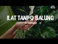 ILAT TANPO BALUNG||ciptaan.didi kempot||cover ‎@TOklaten  #music #musik #campursari #cover