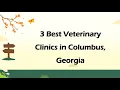 3 Best Veterinary Clinics in Columbus Georgia Animal Hospitals