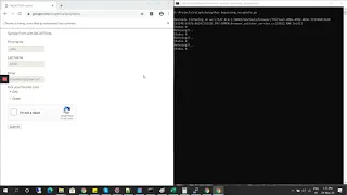 bypassing CAPTCHA Demo