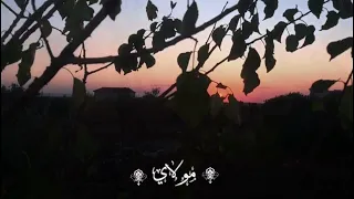 نشيد مولاي اني ببابك بالكلمات     حالات واتس دندنها