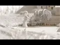 Katie Melua - Perfect World (Official Video)