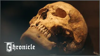 Archeologists Unearth 2 Ships Housing The Remains Of 41 Viking Warriors
