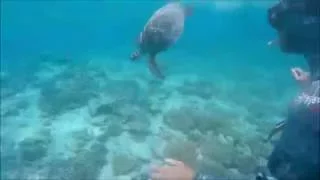 Sailing Into Freedom – Episode 7 Plukky sailing solo waiting for new crew, video medley