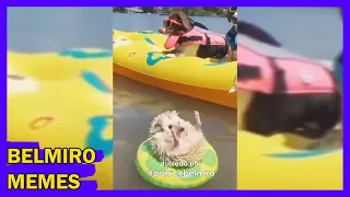 Belmiro Memes: Dublagens de animais engraçados - Episódio 775
