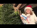 Snow Spray Your Christmas Tree Easy Project