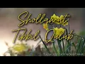 Download Lagu Sholawat Tibbil Qulub