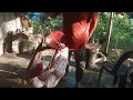 Download Lagu ALHAMDULILLAH...TEWASNYA 28KG BAUNG MERAH..##slimriver #