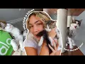 adopting a kitten bc im lonely lol
