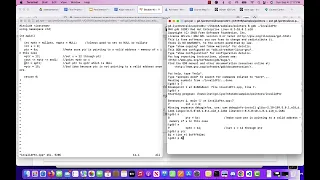 invalid Pointers Debug 1