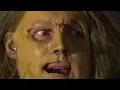 The Scratch - Old Dog