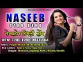 Download Lagu New Timli Song 2025 🌹 Naseeb Star Band Non-stop Timli Song #naseeb_star_band