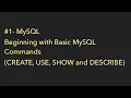 SQL Tutorial for Beginners - SQL Basics