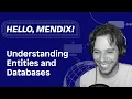 Hello Mendix - Understanding Entities Databases
