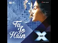 Download Lagu Tu Jo Hain - Mr. X @evergreenmix