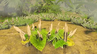 Rainforest Survival Building Primitive Traps - Green Hell VR