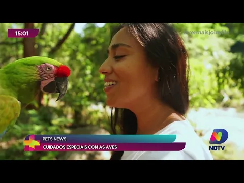 Pets News: cuidados especiais com as aves