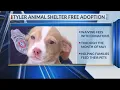 Tyler Animal Services waiving adoption fees with pet food donations