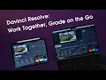 Davinci Resolve Project Server Collaborate for FREE Guide for Beginners