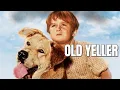 Old Yeller 1957 Discover The Magic Of Old Yeller The Legendary Family Dog