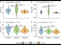 How to draw Violin plot in R