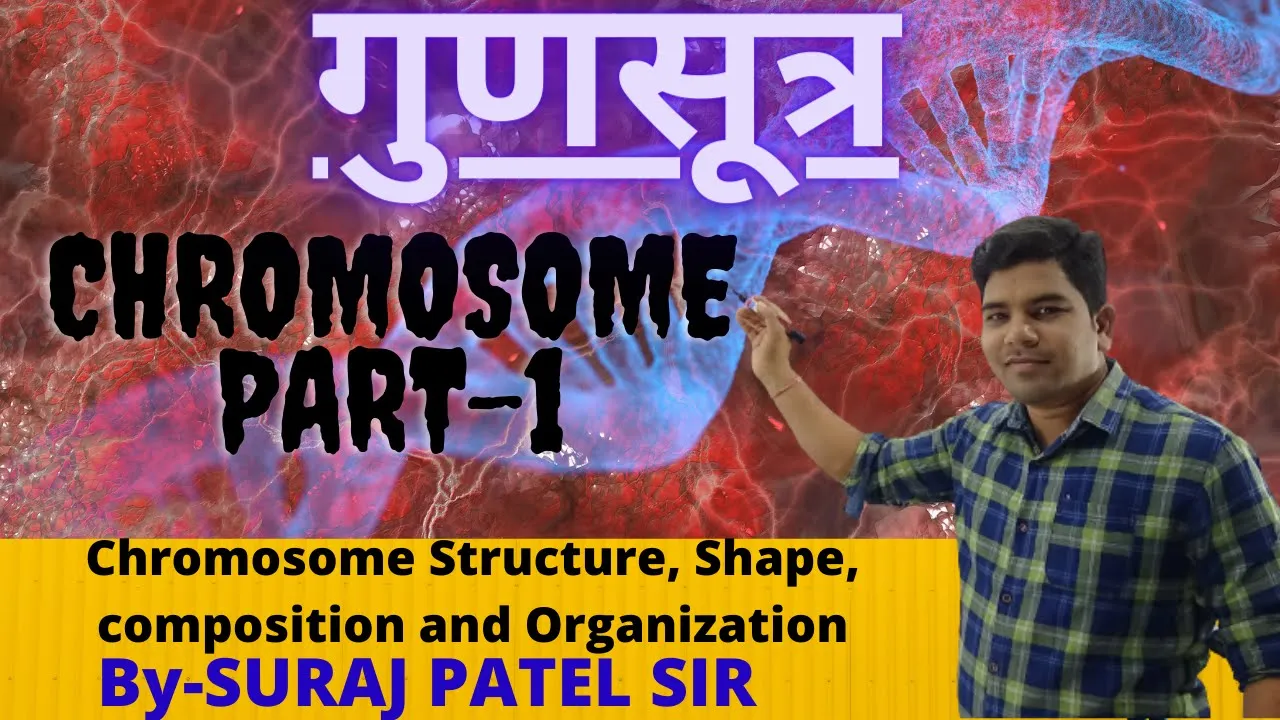 गुणसूत्र की संरचना ||Chromosome Structure, Shape, Composition And Organization||Biology by Suraj sir