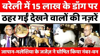 Bareilly में अब पहले नहीं देखे होंगे ऐसे डॉग | IVRI Dog Show | Asia's Most Expensive Dog | Dog Breed