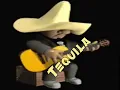 The Champs - Tequila