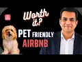 Pet Friendly Airbnb What Every Host Needs to Know