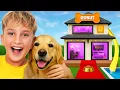 Download Lagu Ai xây được ngôi nhà mơ ước cho chó sẽ chiến thắng!!!