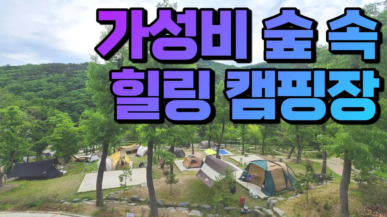 1박 3만원! 가성비 좋은 나무 그늘 가득한 숲 속 캠핑장 + 펜션 및 편의시설 산책로 썸네일
