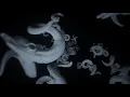 Shades - Two One Six