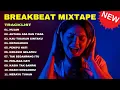 DJ BREAKBEAT MIXTAPE SPESIAL NOSTALGIA || BREAKBEAT FULL BASS REMIX VIRAL TIKTOK TERBARU‼️ 2025