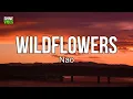 Download Lagu Nao - Wildflowers (Lyrics) | Wildflowers, they grow on their own