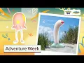 Download Lagu Pokémon GO Adventure Week returns, get out and explore!