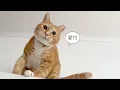 Download Lagu 이사하고 나서야 알게 된.. 관리비의 진실