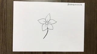 How to draw Jasmine flower easy step by step A to Z of drawing