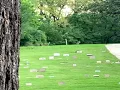 your arms are my cocoon - swingset cemetery (scrapped b-side)