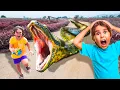 This Is What Happens When a 20 Foot Snake is Loose