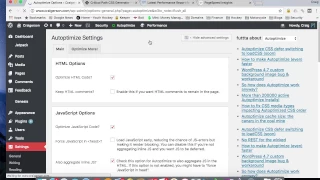 Remove Render Blocking Javascript and CSS With Autoptimize Plugin