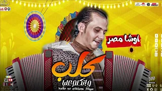 مزمار كلب واتكلم عليا 2023 سلام هيدغدغ الديجهات بطلعات مفتريه من القشاش محمد اوشه 