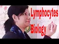 Lymphocytes Biology Class EducatorSharmin