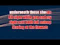 Russell Dickerson - The Roses (karaoke) (by request)