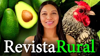 PROGRAMA REVISTA RURAL - 15/09/2024